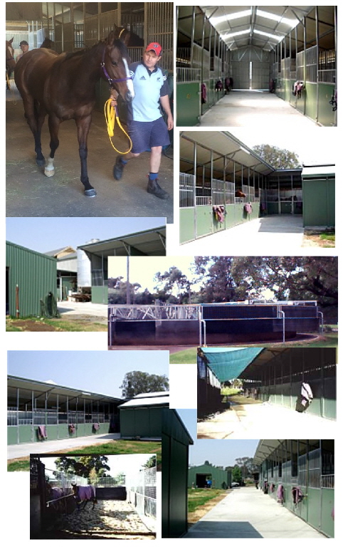 Collage Stables