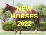 New Horses 2022