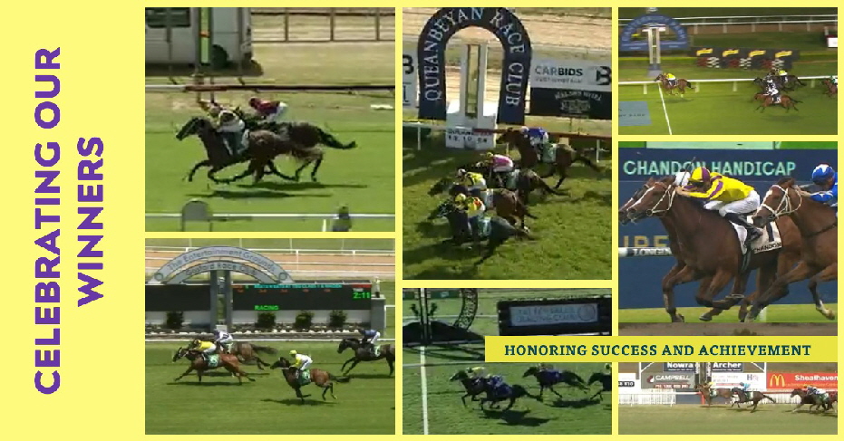 Designer (2) Designer (2)