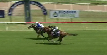 Infant Warrior Hawkesbury 19 02 26 Infant Warrior Hawkesbury 19 02 26