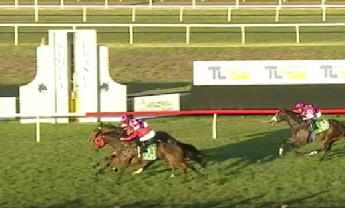 Prince Harrison dead heat Kembla 21 06 25 Prince Harrison dead heat Kembla 21 06 25
