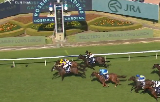 Willaidow a 31 1 26 Willaidow a 31 1 26